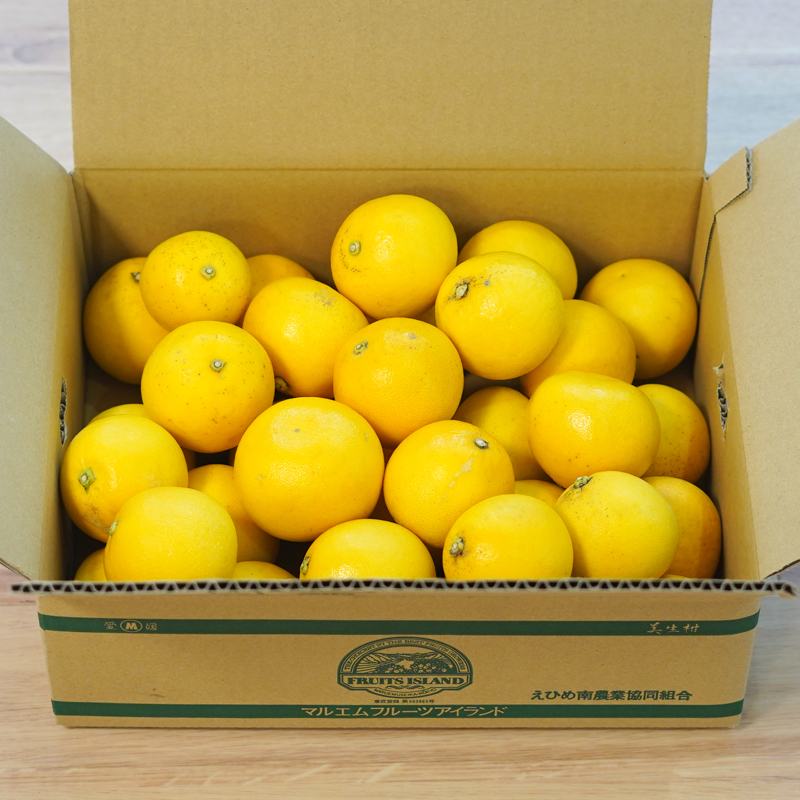 訳あり 小玉 美生柑 約7kg 河内晩柑 ばんかん 愛媛 みかん 小粒  柑橘 フルーツ 果物 くだもの 果実 夏 文旦 晩生柑  蜜柑 mikan わけあり 傷 規格外 愛南 ご当地 ブランド 国産