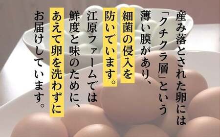 AG14_【定期便6か月】江原ファーム　体に優しい地養卵（30個）