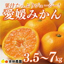 【ふるさと納税】 【高評価★4.7】 先行予約 選べる容量 愛媛みかん 3.5kg 5kg 7kg 訳あり 通常品 7000円 10000円 期間限定 愛媛 みかん 温州みかん mikan 蜜柑 ミカン 国産 期間限定 数量限定 特産品 フルーツ 果物 柑橘 おいしい サイズ ミックス 愛南町 愛媛県 吉田農園