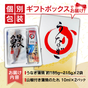国産 鰻 蒲焼 2尾 計370g以上 うなぎ 鰻