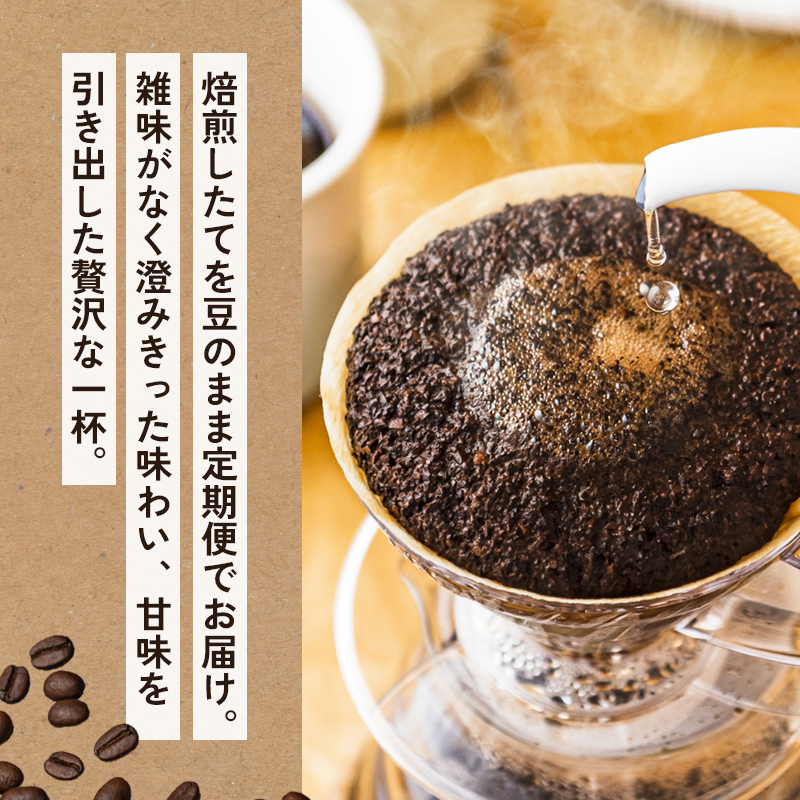 【3ヶ月定期便】 自家焙煎珈琲 こだわりコーヒー豆 400g×3回 （200g×2袋 毎月3回） | 定期便 コーヒー 珈琲 coffee 自家焙煎 焙煎 オリジナルブレンド 新鮮 豆 珈琲豆 コーヒ