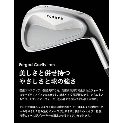 ふるさと納税 市川町 CK-H キャビティ―アイアン　#5〜Pw　6本セット 270BD01N |  | 02