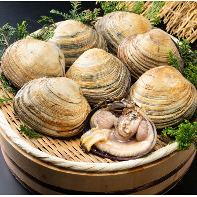 【ふるさと納税】 訳あり 天然 大あさり 7~9切 ( 1kg ) 冷凍 下処理済み 海鮮 魚介 貝 三河湾 おすすめ 人気 愛知県 南知多町 【配送不可地域：北海道・沖縄・離島】