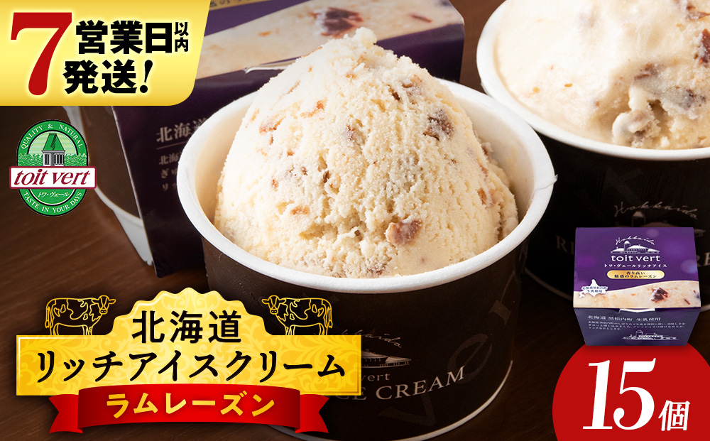 
            リッチアイスクリーム 香り高い魅惑のラムレーズン 15個セット（100ml）アイス スイーツ おやつ 冷凍 食べ比べ
          