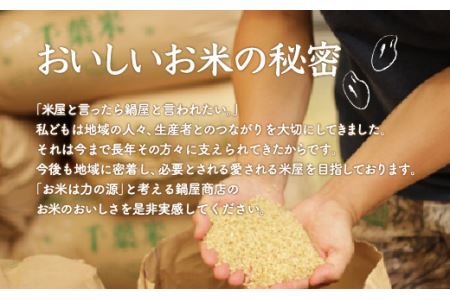 令和5年産 2年連続特A評価!千葉県産コシヒカリ25kg無洗米（5kg×5袋） E010