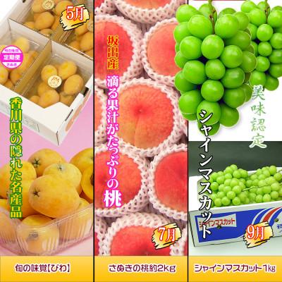 ふるさと納税 坂出市 【発送月固定定期便】創業100年坂出産のフルーツとさぬきの特産品の定期便【Cコース7回】全7回 |  | 02