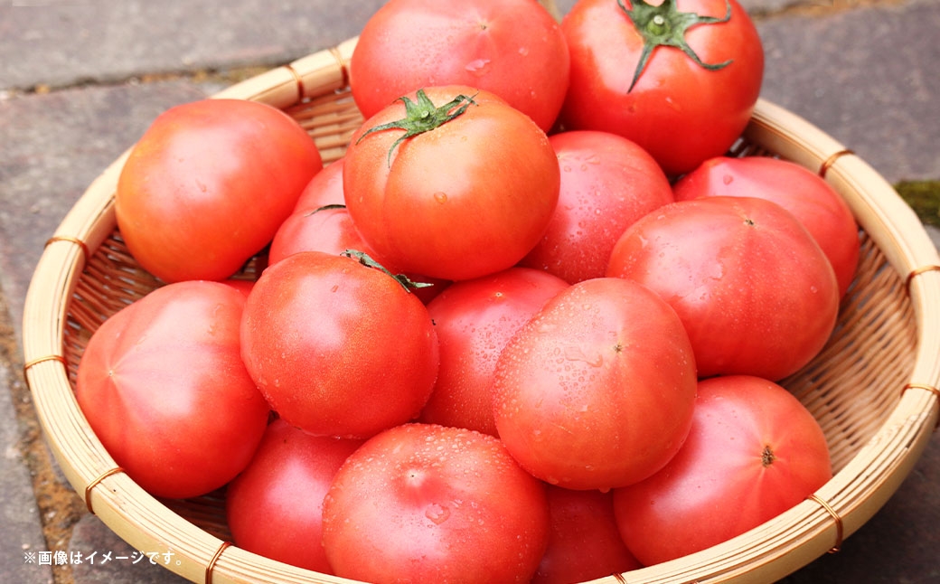 
                  トマト 約4kg （ 約20玉 ) とまと 野菜 やさい 果肉 旬 サラダ 酸味 国産 熊本県産
                