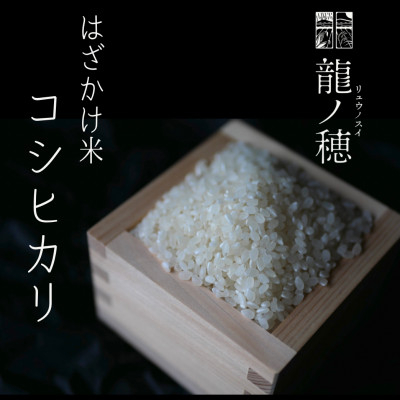 
                  【令和8年産】 南信州産 はざかけ米 コシヒカリ 【選べる容量】 5kg 10kg | 龍ノ穂 米 お米 おこめ ご飯 ごはん 食卓 長野県 飯田市 信州
                