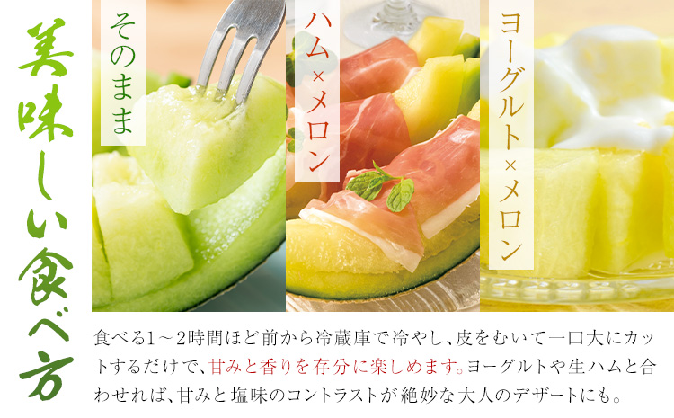 肥後グリーンメロン 約2-2.4kg×2玉【養生市場】 有限会社七城町特産品センター《5月中旬-6月中旬頃出荷》熊本県 菊池市 メロン グリーンメロン 果物 フルーツ 熊本県産 送料無料---003-