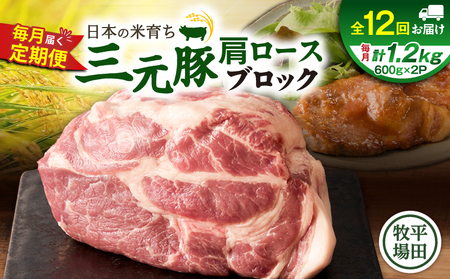 【全12回 毎月定期便】日本の米育ち 平田牧場 三元豚 肩ロースブロック 1.2kg　T036-T11-03 定期 肉 お肉 にく 豚 豚肉 ブタ ぶた 生姜焼き トマト煮 黒豚 冷凍 バークシャー種 特別品種 便利 パック おかず 夕食 美味しい おいしい ジューシー ふるさと納税 北海道 苫小牧市 おすすめ ランキング プレゼント ギフト