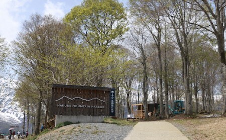 白馬岩岳マウンテンリゾート ゴンドラリフト往復乗車券 大人1名チケット/長野県白馬村　マウンテンリゾート　アクティビティ　アウトドア　ブランコ　マウンテンハーバー　絶景の北アルプス　犬連れ【L0200
