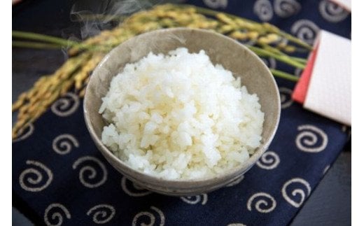 A-132 【生産者直送】佐賀県鹿島市産 さがびより　白米３ｋｇ