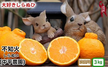 不知火 ( しらぬい ） 3kg 家庭用 (大好きしらぬい)　/ デコポン 甘い 和歌山 有田 柑橘 産地直送 農家直送 手選果 ※2月中旬～3月下旬に順次発送予定  【nkh010-c-3A】