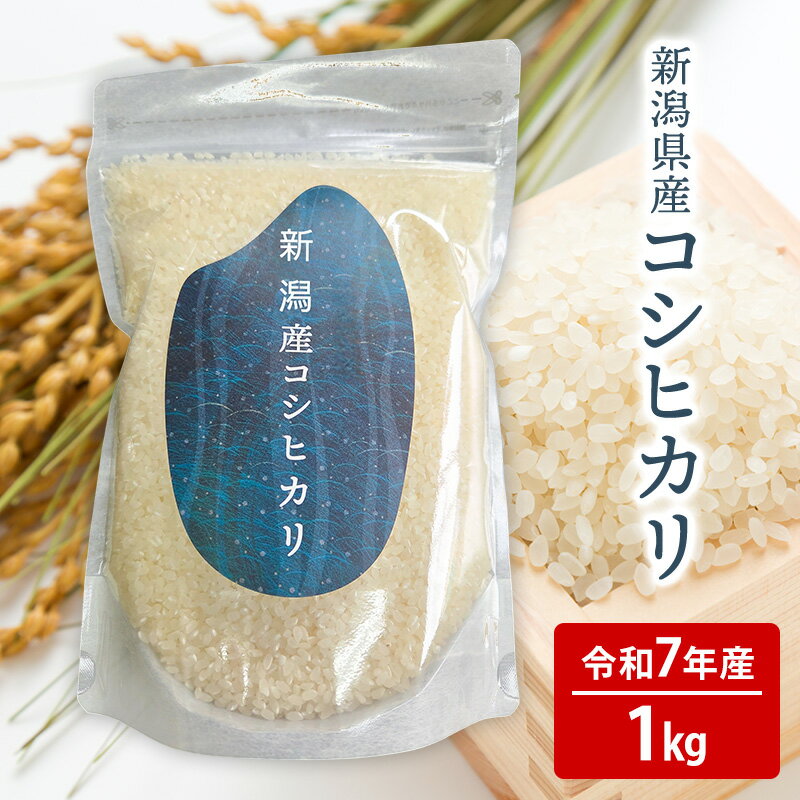 【ふるさと納税】新潟県産 コシヒカリ 1kg お米 白米 こしひかり 新潟産 1キロ 新潟県 新潟市 産地直送 送料無料　お届け：2026年10月下旬まで