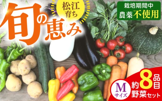 【旬の野菜セットMサイズ 野菜8品目】島根県松江市/須山農園 [ALBD004]セット 産地直送 詰め合わせ 旬の野菜 旬野菜 野菜詰め合わせ 国産野菜 新鮮野菜 オーガニック野菜 食品 健康志向 ヘルシー 季節野菜