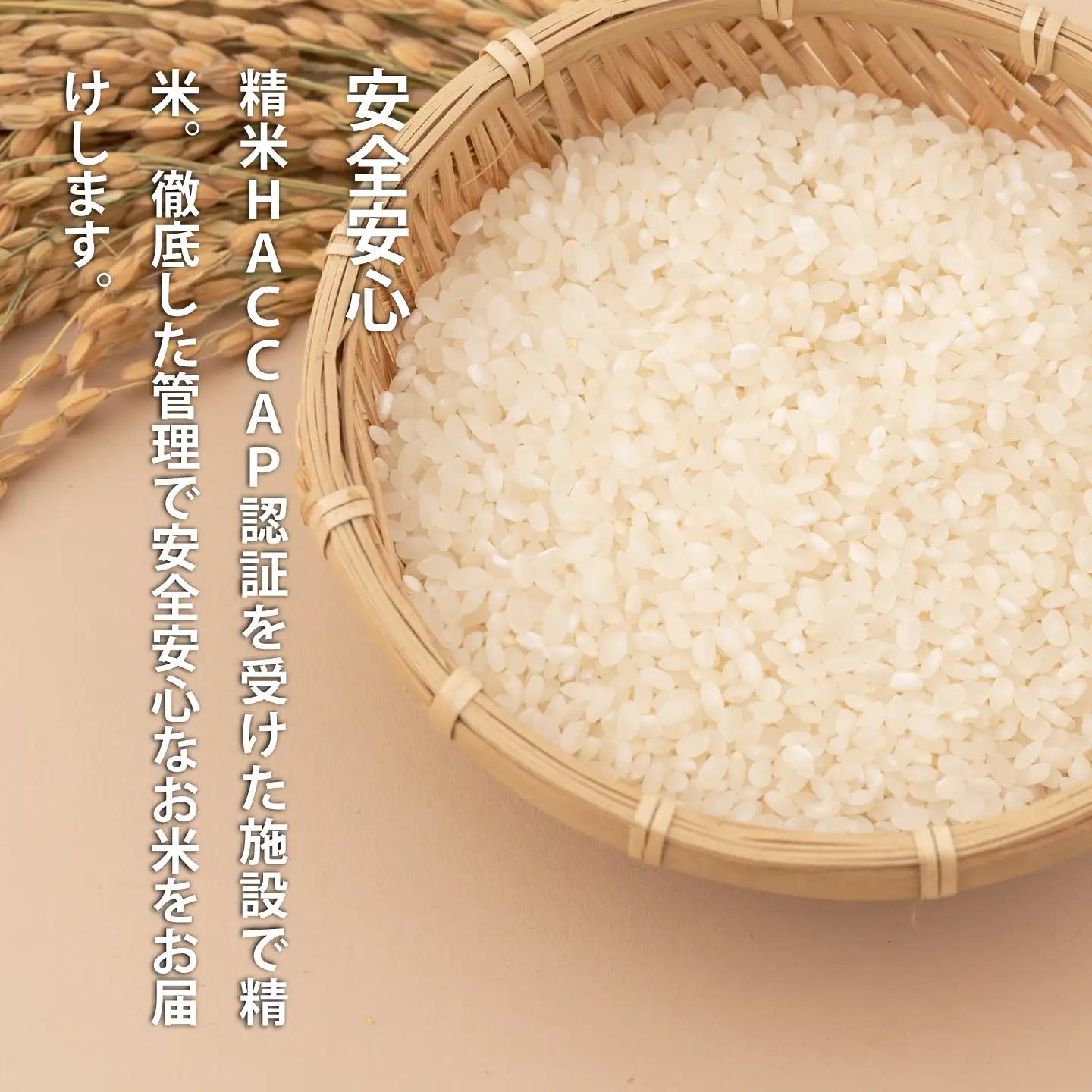 【生活応援！価格大幅改定！即日～14営業日以内発送】北海道 産地直送！ＪＡ当麻ブランド米　特Aななつぼし無洗米　令和7年産　5kg【A-017】