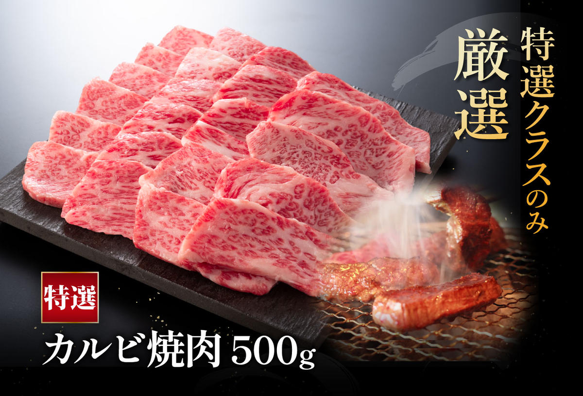 【4等級以上】厳選　近江牛　カルビ　焼肉【500g】【BS02W】
