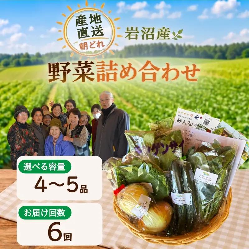 【定期便6ヶ月】 産地直送 朝どれ 新鮮野菜 4～5種類 詰め合わせ セット 野菜