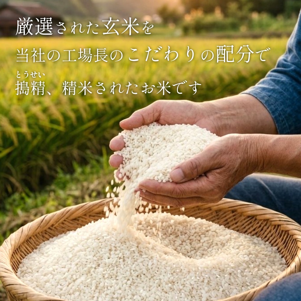 【 令和8年産 】 新米 ひとめぼれ 10kg 宮城県 石巻市産 精米 