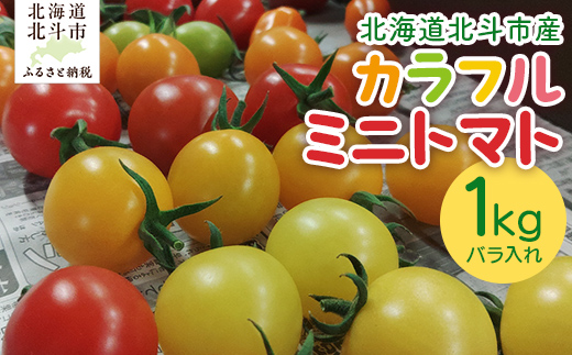 北海道北斗市産カラフルミニトマト（2025年6月以降発送） HOKAU002