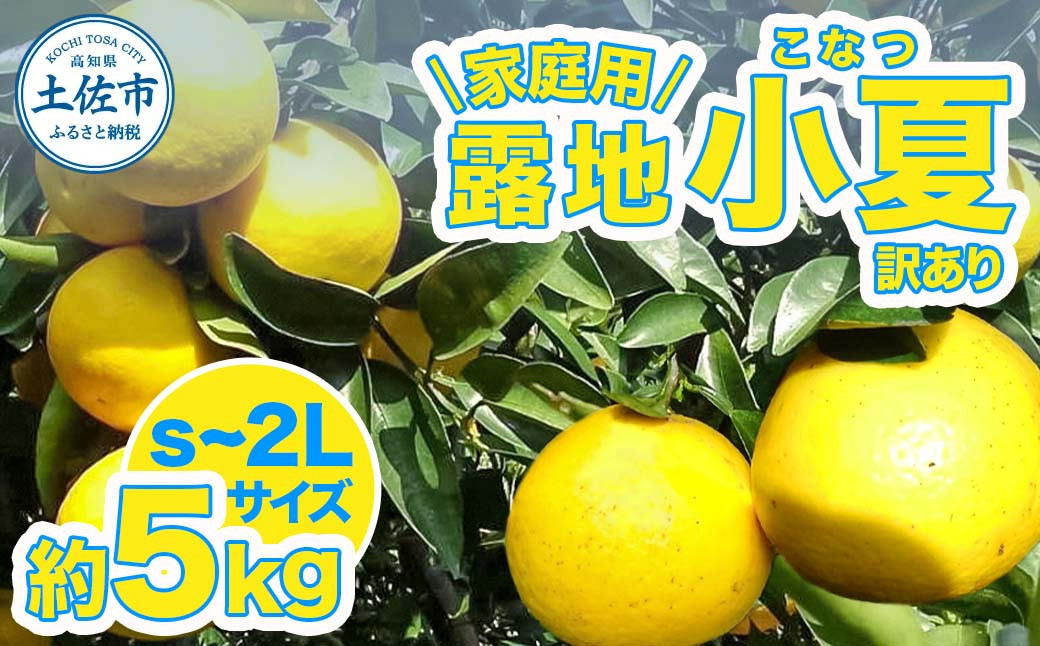 
            露地小夏 約5kg 小夏 訳あり 家庭用 S~2Lサイズ こなつ 糖度13度以上 5キロ フルーツ 果物 デザート 柑橘 お取り寄せ おいしい 美味しい 減農薬 ご自宅用
          
