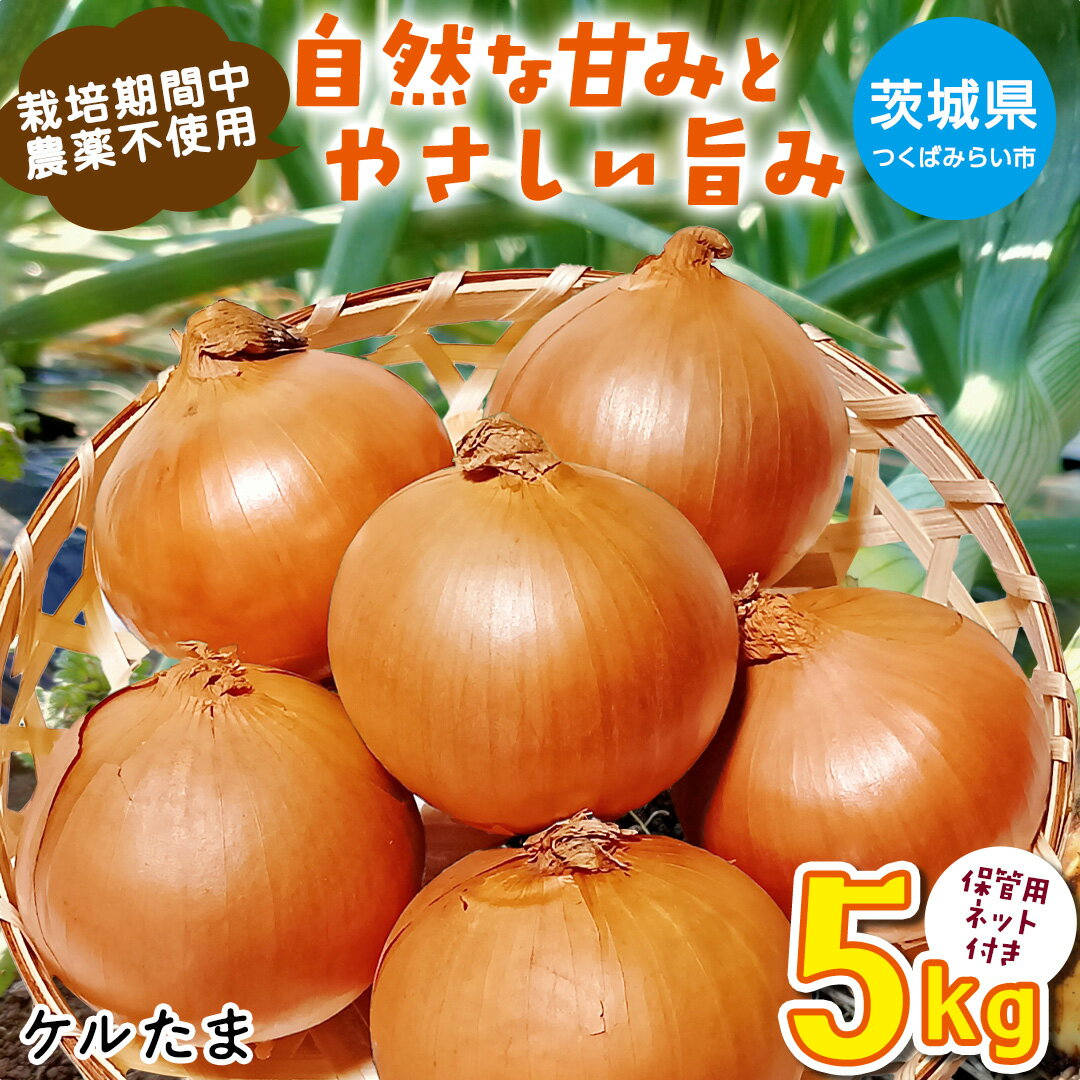 【ふるさと納税】【 先行予約 】つくばみらい市産 たまねぎ 5kg ( ケルたま ) 保管に便利な貯蔵ネット付【2026年6月より発送開始】 タマネギ 国産 茨城県産 甘い 辛くない 旨味 栽培期間中農薬不使用 大玉 サラダ スープ 箱売り キロ販売 業務用 大容量