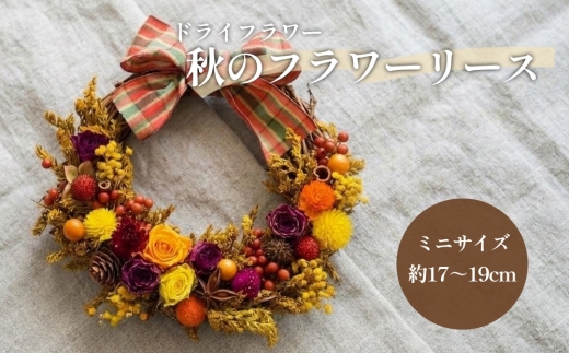 【ドライフラワー】秋のフラワーリース ミニサイズ 約17～19cm