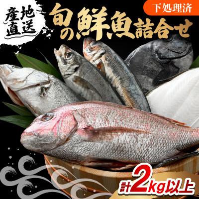 ふるさと納税 小浜市 【加福鮮魚】「若狭小浜港産地直送」のお任せ天然鮮魚セット!