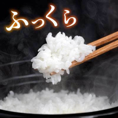 ふるさと納税 糸島市 糸島産 ヒノヒカリ 10kg 糸島市 / 平山農園 [AXN006] |  | 01