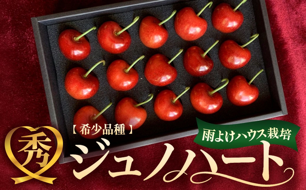 
                  高級さくらんぼ「ジュノハート」 化粧箱入り バラ詰め  選べる容量 15粒 800g ★2026年6月下旬～7月上旬頃にかけて順次発送予定★ ジュノハート チェリー 果物 フルーツ くだもの さくらんぼ サクランボ AQ-P-01
                