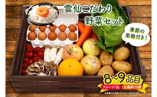 
										
										雲仙こだわり野菜セット 野菜・フルーツ8〜9品目＋太陽卵10個 詰め合わせ [吉岡青果 長崎県 雲仙市 item1275] 野菜 フルーツ 卵 セット 旬の野菜
									