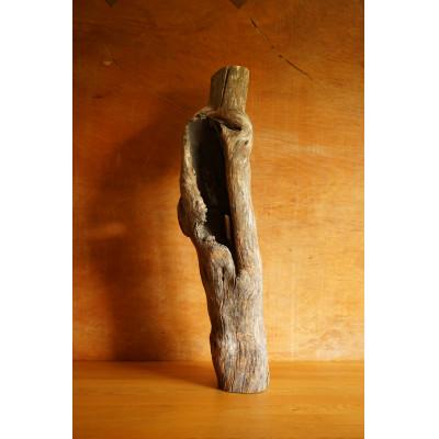 ふるさと納税 屋久島町 【屋久島の流木】大サイズ　タイプ2 |  | 02