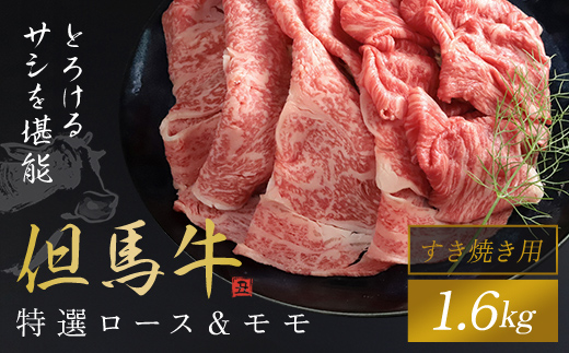 【但馬牛】特選ロース＆モモ すき焼き用 1600g 但馬牛 すきやき すき焼き すき焼き肉 ロース肉 モモ肉 ロース モモ 牛ロース 牛モモ 詰め合わせ セット 食べ比べ 牛肉 牛 肉 お肉 黒毛和牛 ブランド和牛 国産和牛 兵庫県 朝来市 AS1K7