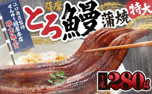 【土用の丑の日特集】2053-1 【江口商店監修】薩摩とろ鰻蒲焼特大一尾 280g　KN084-003