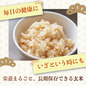 新米玄米コシヒカリ10㎏新米新米新米