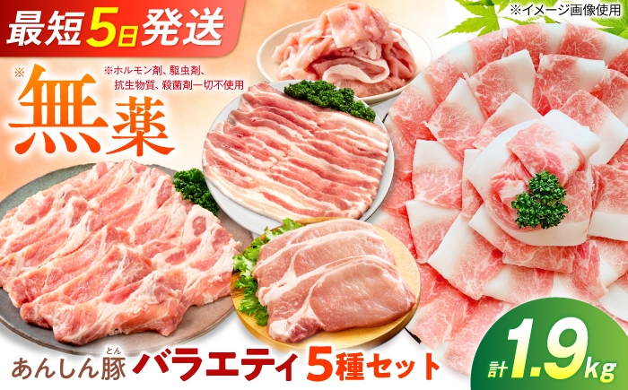 
                  あんしん豚のバラエティセット 5種 計1.9kg（バラ、モモ、カタロース、ロースしゃぶしゃぶ用 各200g×2袋／ローステキカツ用 100g×3枚）豚肉 セット 豚バラ バラ肉 モモ肉 肩ロース カツ 豚ロース  国産 無薬 無薬育ち 冷凍 白川町 / 藤井ファーム [AWAF106]
                