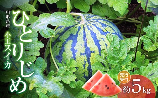 
                  《先行受付》小玉スイカ ひとりじめ 約5kg【2026年7月上旬頃～順次発送予定】【山形県産 西瓜】 【043-004】
                