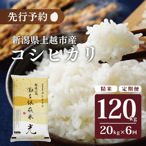 令和7年産 先行予約 新潟県上越市名立区産 コシヒカリ 棚田米 「灘立銀嶺米 光」  20kg 6か月定期便 上越市 精米 米 コメ ブランド米