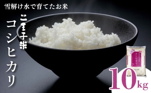 令和7年産 新潟県産 コシヒカリ 10kg 5kg×2袋 数量限定 特別栽培米 二王子米 新潟産 新潟米 新発田産 新発田 お米 米 kome 白米 ご飯 こめ ごはん ライス ふるさと納税米 コシヒカリ お弁当 食品 せいだ とんとん市場 ブランド米 人気米 玄米 新潟県 新発田市 seida003_01