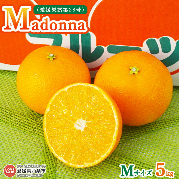 【ふるさと納税】＜Madonna（愛媛果試第28号） Mサイズ 5kg＞ ※2025年12月初旬から2026年1月中旬迄に順次出荷します。 みかん ミカン 蜜柑 柑橘 まどんな 果物 くだもの フルーツ マドンナ 甘い ジューシー プリンセスファーム 鴻上農園 愛媛県 西条市 【常温】