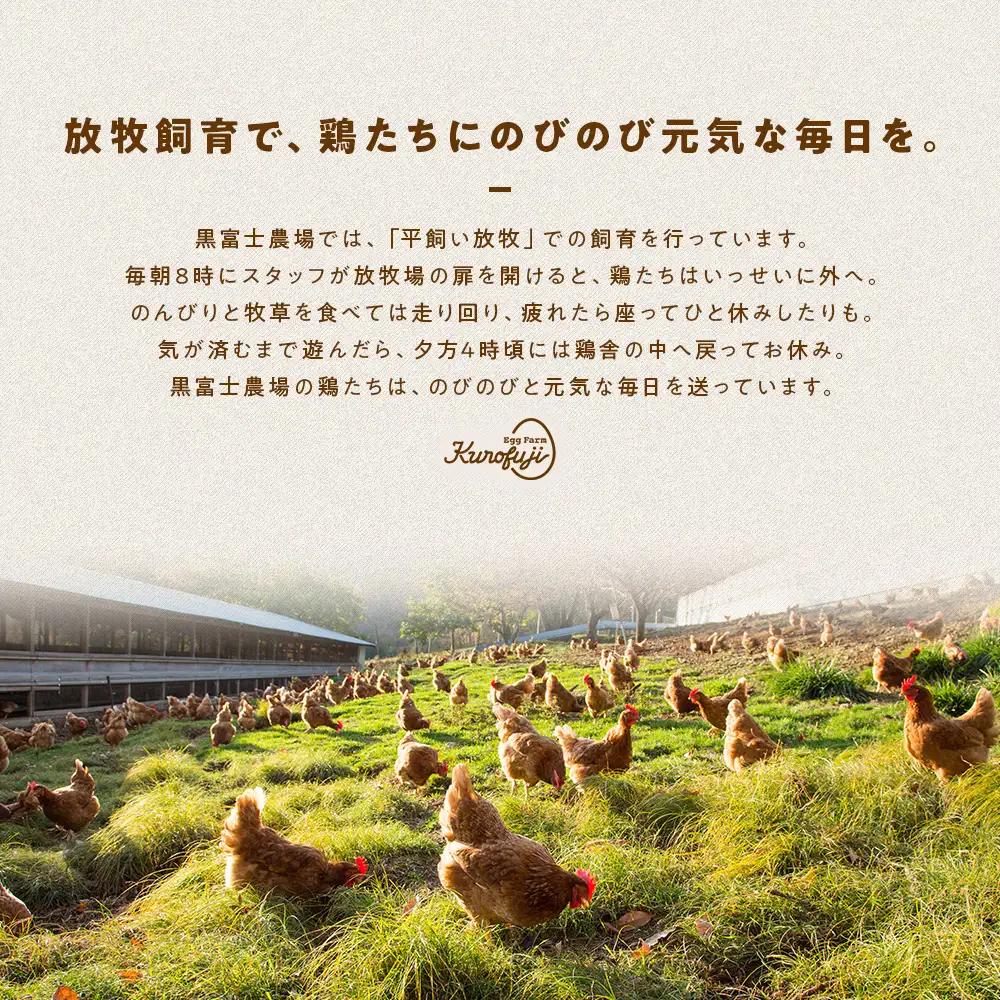 森のバウムクーヘン 2個セットバームクーヘン  B-9