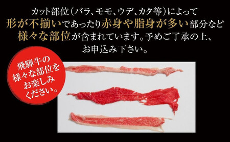 【定期便】全12回 飛騨牛 切り落とし | 訳あり 肉 お肉 切り落とし 薄切り すき焼き すきやき 黒毛和牛 和牛 牛肉  飛騨高山ミート MZ112