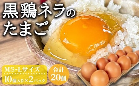 黒鶏ネラの卵 20個 卵