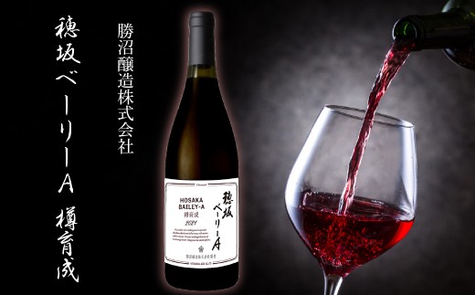 穂坂ベーリーA 樽育成 257-003