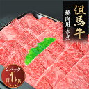 【ふるさと納税】但馬牛　焼き肉用(赤身　1kg)【配送不可地域：離島】【1072499】