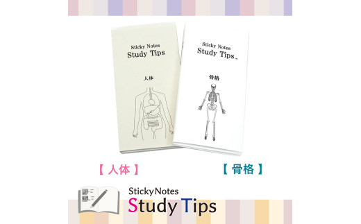 10-61_人体付箋 【Sticky Notes Study Tips】 (スタディチップス) 2種セット 人体・骨格｜付箋 人体 骨格 医師 医者 医学 からだ ほね 学習 付せん 勉強 セット 文具 メモ プレゼント 便利 書き込み 役立 塾 メモ帳 ギフト 子供 子ども 孫 受験 予習 復習 宿題 8種類 ブック型