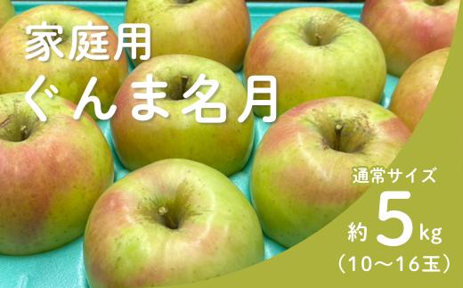 KR13 ぐんま名月 家庭用 約5kg（10～16玉） 長野県松川町産／11月上旬頃～配送予定//長野県 南信州 リンゴ 林檎 名月 訳あり 自家用 農家直送 農家支援 産地直送