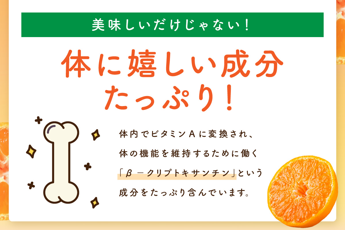 【佐賀県産温州みかん使用】 みかんジュース さがみかん100　1L×6本 果汁100% A042_イメージ4