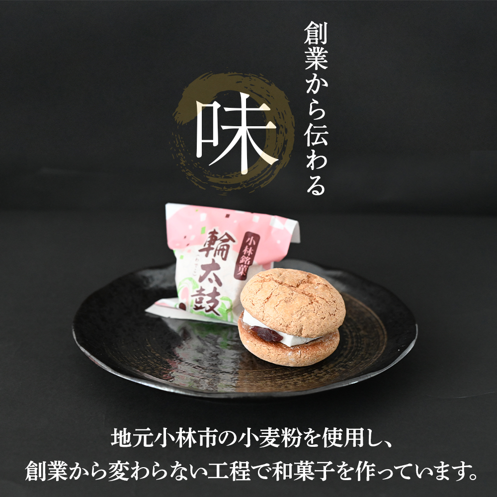 【E205】【地元銘菓】輪太鼓（わでこ）10個入（菓子 スイーツ 和菓子 ブッセ 餅 あんこ 銘菓 宮崎県）_イメージ3