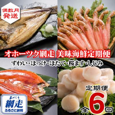 ふるさと納税 網走市 【発送月固定定期便】偶数月にお届け オホーツク網走 美味海鮮セット全6回